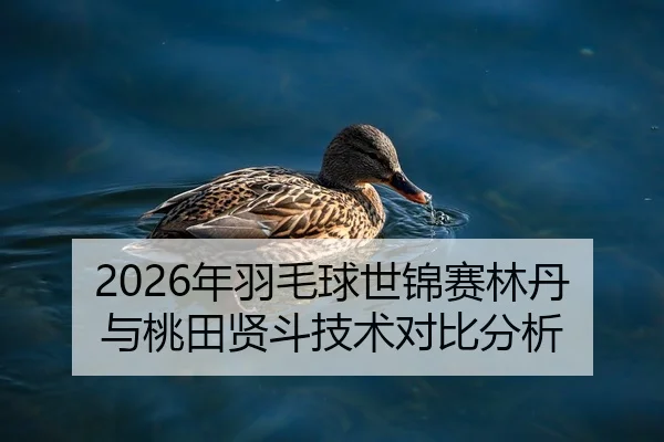 2026年羽毛球世锦赛林丹与桃田贤斗技术对比分析